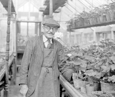 Man in Greenhouse at Outlane, Huddersfield 	