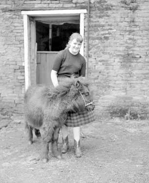 Pauline Garside of Grasscroft with Shetland Pony 	