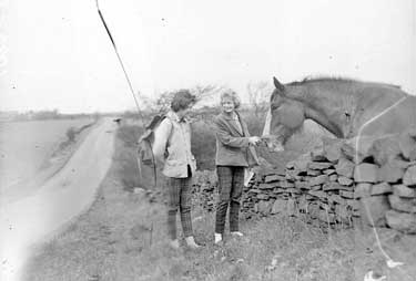 Girls feeding horse near Emley, Huddersfield 	