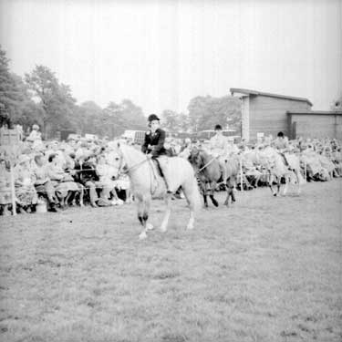 Pony Show in Greenhead Park 	
