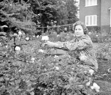 Gardener at Mirfield 	