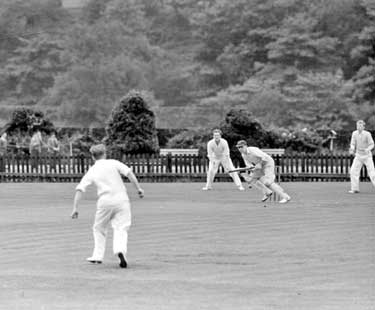 Cricket: Linthwaite v Hall Bower 	