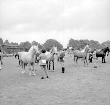 Pony show at Greenhead Park, Huddersfield 	