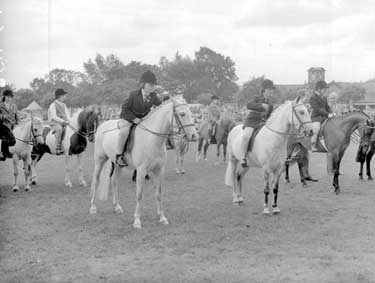 Pony show in Greenhead Park, Huddersfield 	