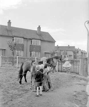 Children with horses 	