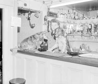 Dogs at Shoulder of Mutton Inn 	