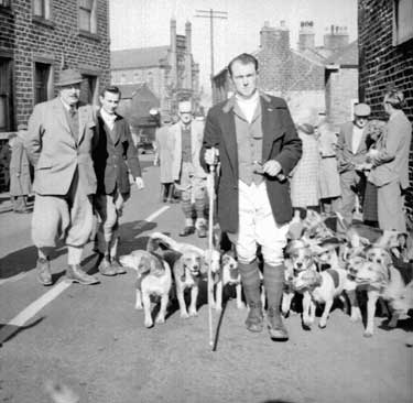Man with beagles 	