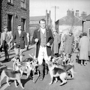 Man with beagles 	
