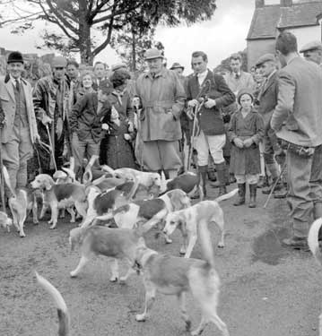 Crowd with hounds 	