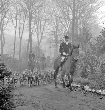 Hunt with hounds 	