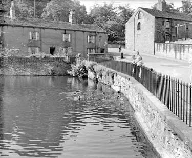 Boys feeding ducks on Scissett Mill Pond 	
