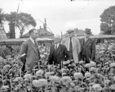 Chrysanthemum Society Visit, Ravensknowle 	