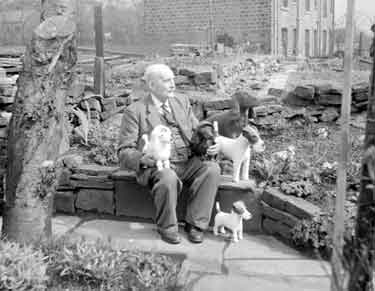 Mr Fred Fields from Quarmby with his dogs 	