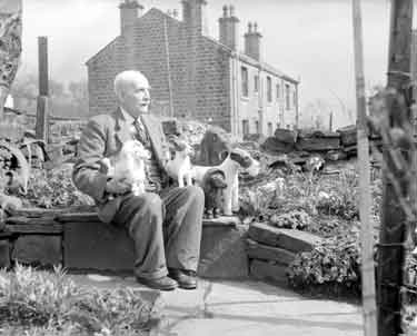Mr Fred Fields from Quarmby with his dogs 	