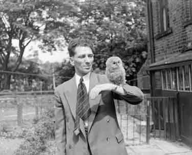 Mr Edward Sharp and Owl 	
