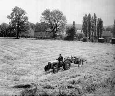 Hay making at Honley, Huddersfield 	
