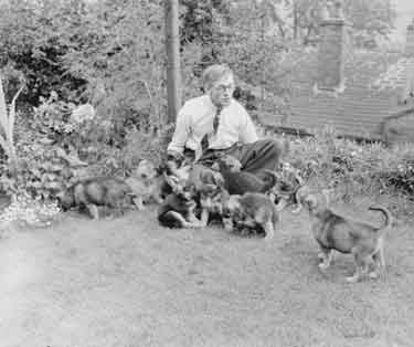 Mr Butterfield, 9 High Royd Crescent, Moldgreen, with Alsation puppies 	
