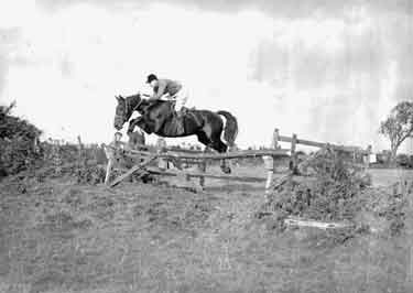 Horse Jumping: J N Hinchcliffe 	