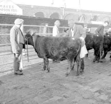 Christmas Show at Cattle Market 	