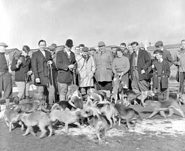 Group of people (the hunt) with beagles 	