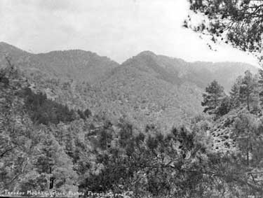 Military, Cyprus - Troodos Mountains taken while British troops searching for General Grivats and associates
