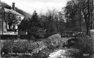 The Mill Stream, Shelley
