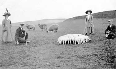 Group with pigs and sheep, Kirkheaton