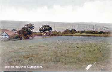 Postcard of Ravensthorpe showing general view