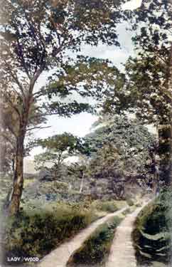 Postcard of Ravensthorpe showing Lady Wood