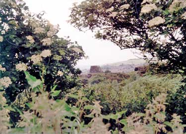 Longwood Tower from Field Head, Quarmby