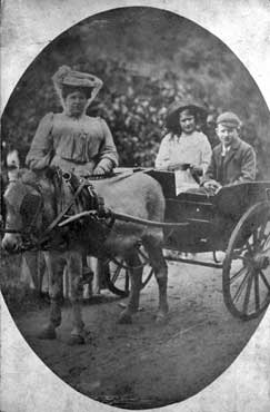 Portrait of boy, girl and woman with donkey carriage, Cleckheaton