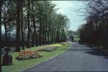 Main walkway at Beaumont Park, Huddersfield