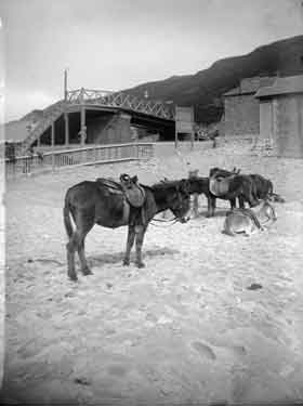 Barmouth, donkeys on the sands