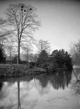 Bretton Park. Pond