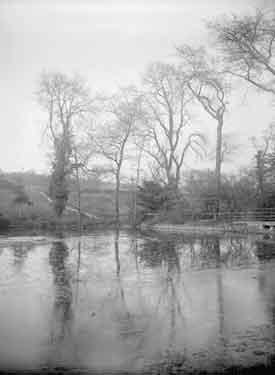 Cannon Hall Park. Pond at Dean Hill