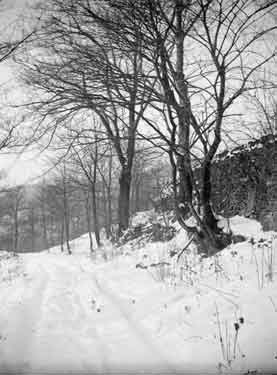 Grimscar Wood, Snow Scene