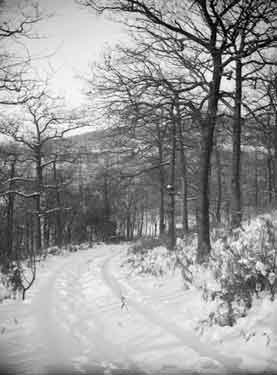 Grimscar Wood Snow Scene