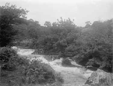 Near Llanfrothen, stream below Waterfall Gelli