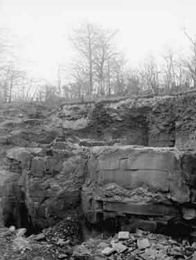 Honley Wood, section of stone quarry