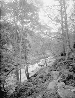 Bolton Woods, The Strid