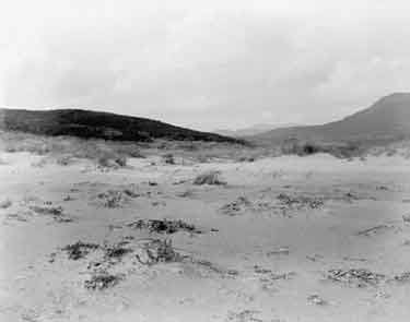 Criccieth, Morfa Bychan, beginnings of sand dunes