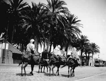 Algiers, Arabs on horseback