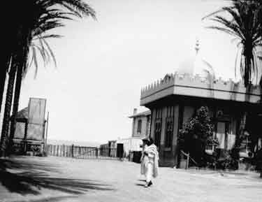Algiers, Arab in Garden de Palm