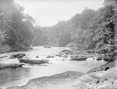 Bolton Woods, River Wharfe, Above the Strid