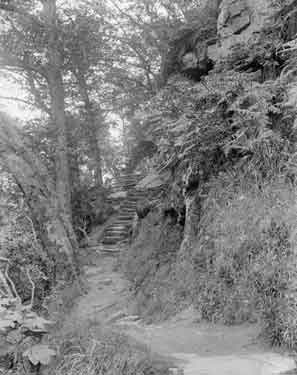 Bolton Woods, Pembroke Seat near Hawkstone Crag