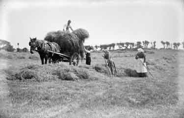 Paddock, haymaking