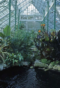 Greenhead Park - Interior view of the conservatory.