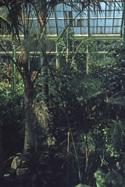 Greenhead Park -  interior view of the conservatory.
