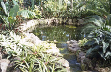 Greenhead Park - the ornamental pond inside the conservatory.