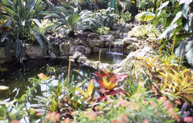 Greenhead Park - detail of the ornamental pond, situated inside the conservatory.